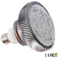 LED PAR38 Spotlight