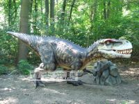 Sell animatronic dinosaur T-rex model