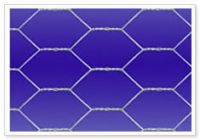 hexagonal wire mesh