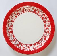 dinner paper plate