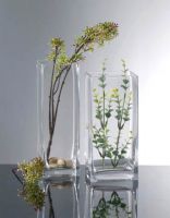 Sell Clear Glass Vases (VS3001)