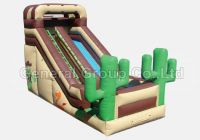 Inflatable Western Slide