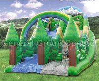 Inflatable Jungle Slide