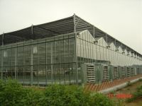 glass greenhouse