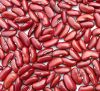 Sell British Red Kidney Beans