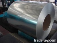 galvanized steel coils