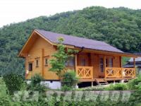 Sell Montain side log home