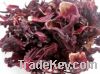 Sell Hibiscus(Flower & TBC)