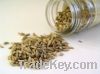 Sell fennel seeds