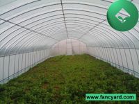 Sell Greenhouse, poly film greenhouse