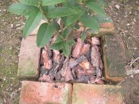 natural bark mulch