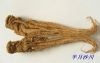 Sell Chinese Angelica Extract