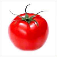 Tomato Extract Lycopene