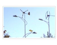 Sell wind &solar power-supplying road lamps