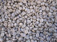 Sell CHINA WASHED AR ABICA COFFEE BEANS GRADE AA