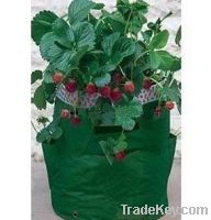 New Tough Recycling Environmental Strawberry Planting Bags