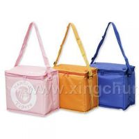 Cooler Bag /Insulate Bag Series/Bottle bag  BD-751-1