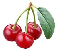Sell Fresh Cherry