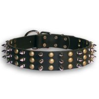 Leather Dog collar