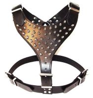 Dog harness