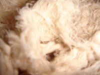 Textile Waste (Cotton Yarn Waste, Denim Clips, Wiping rags)