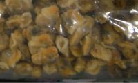 Sell frozen ARK SHELL CLAM MEAT