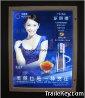 Sell Aluminum display light box