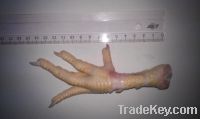 Export Chicken Paw | Chicken Feet Suppliers | Poultry Feet Exporters | Chicken Feets Traders | Processed Chicken Paw Buyers | Frozen Poultry Paw Wholesalers | Low Price Freeze Chicken Paw | Best Buy Chicken Paw | Buy Chicken Paw | Import Chicken Paw | Chi