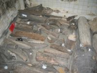 Sell  petrified wood production