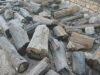 Sell petrified wood