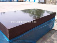 Sell Special size film faced plywood