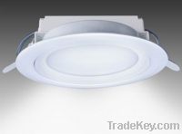 professional led downlight factory