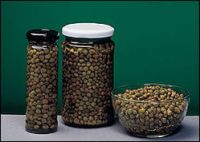 Sell Canned Capers