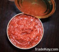 Sell Tomato Paste Brix 30%-32%