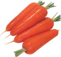 Sell carrot, fresh vegetable in bulk quantities