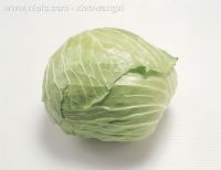 Sell cabbage, fresh vegetable