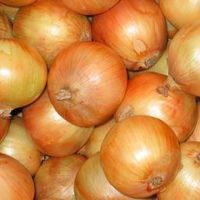 Sell fresh vegetable, onion