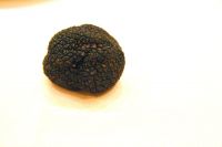 Sell Black Truffle