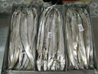 Sell Ribbonfish