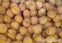 Sell walnuts and walnut oil, walnut kernels