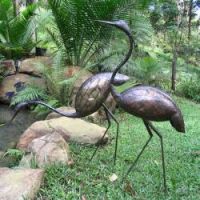 elegant cranes drinking water