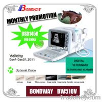 Digital Portable Veterinary Ultrasound Scanner BW510V