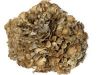 Mushroom Maitake Powder & Extract available