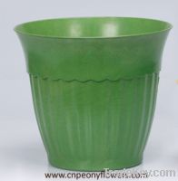 Sell eco-friendly plant pot in various sizes