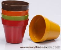 Sell biodegradable flower pots for indoor and outdoor