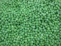 Sell Frozen Green Pea