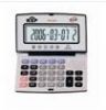 Sell Pronunciation calculatorDS-338