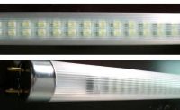 Sell  LED T8 Fluorescent Tubes (SMD)