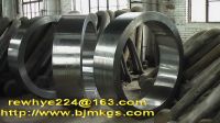GR2 titanium rings supplier