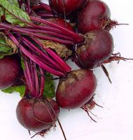 FRESH RED BEETROOT AVAILABLE FOR EXPORTS